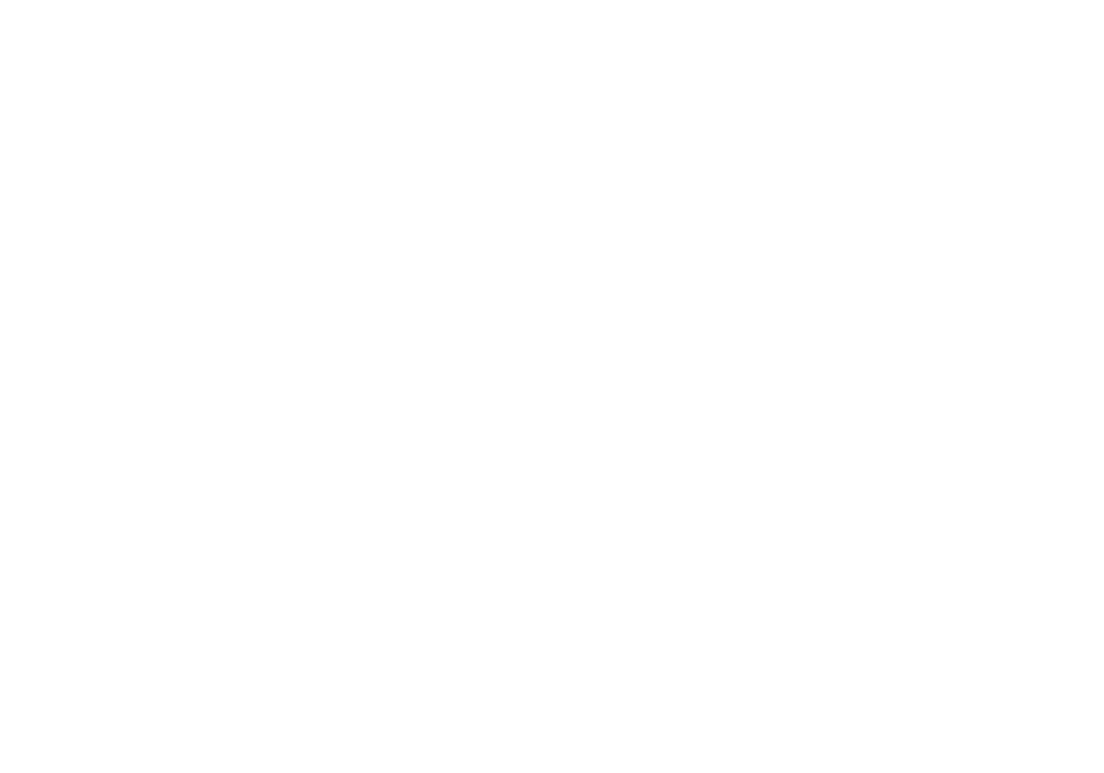 Walter Stewarts logo